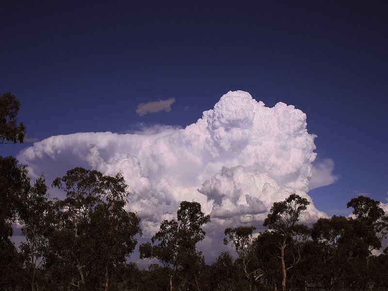 thunderstorm cumulonimbus_incus : Walcha, NSW   20 November 2005