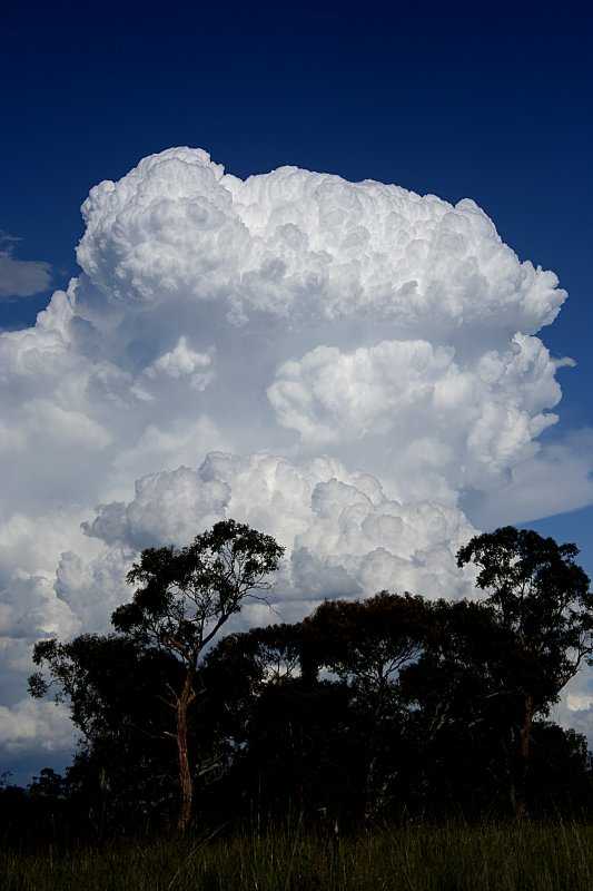 thunderstorm cumulonimbus_incus : Walcha, NSW   20 November 2005