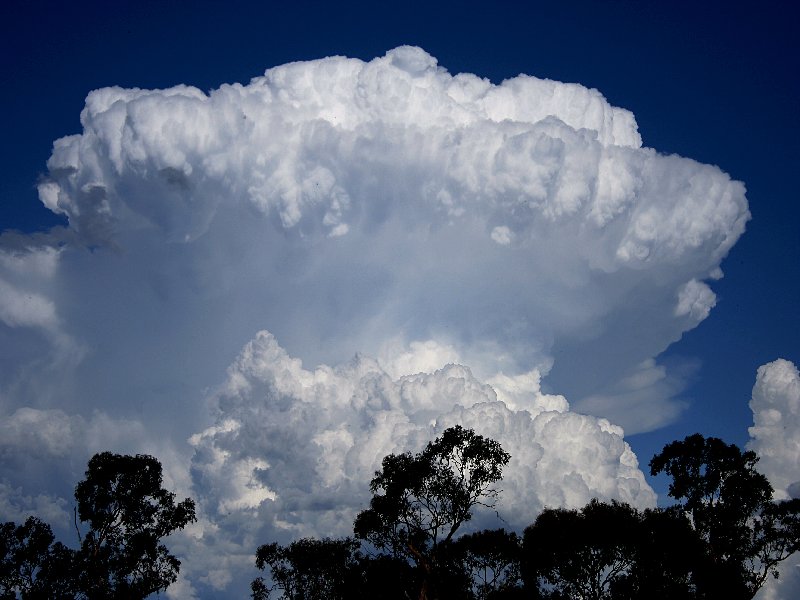 thunderstorm cumulonimbus_incus : Walcha, NSW   20 November 2005