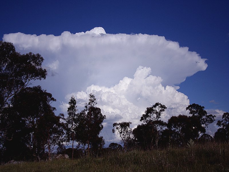 thunderstorm cumulonimbus_incus : Walcha, NSW   20 November 2005