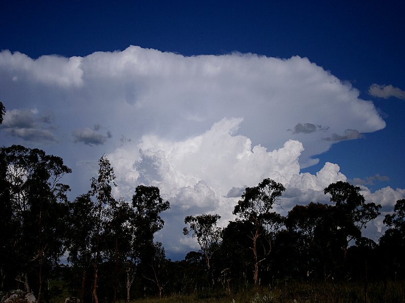 thunderstorm cumulonimbus_incus : Walcha, NSW   20 November 2005