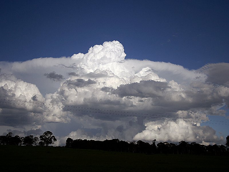 thunderstorm cumulonimbus_incus : Walcha, NSW   20 November 2005