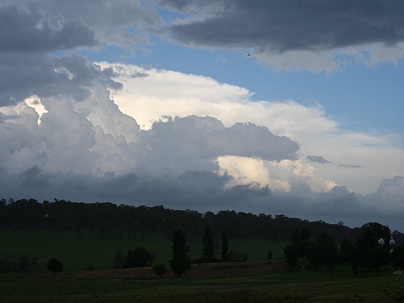 thunderstorm cumulonimbus_incus : S of Walcha, NSW   20 November 2005