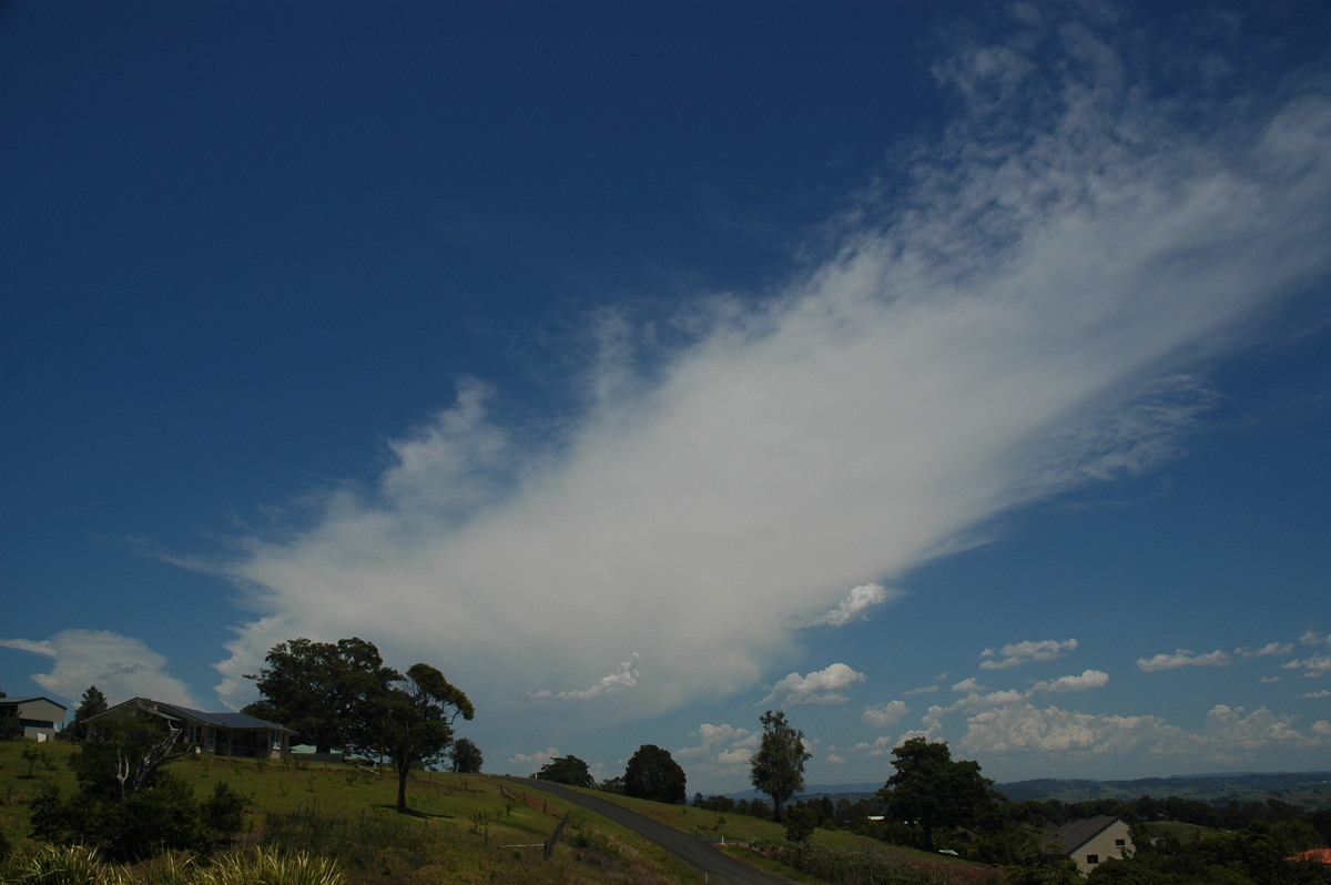 anvil thunderstorm_anvils : McLeans Ridges, NSW   20 November 2005