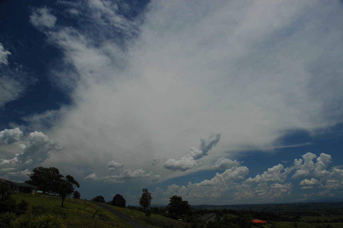 anvil thunderstorm_anvils : McLeans Ridges, NSW   20 November 2005