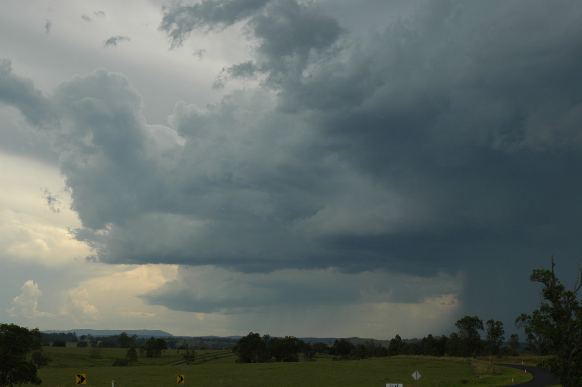 cumulonimbus thunderstorm_base : W of Casino, NSW   20 November 2005