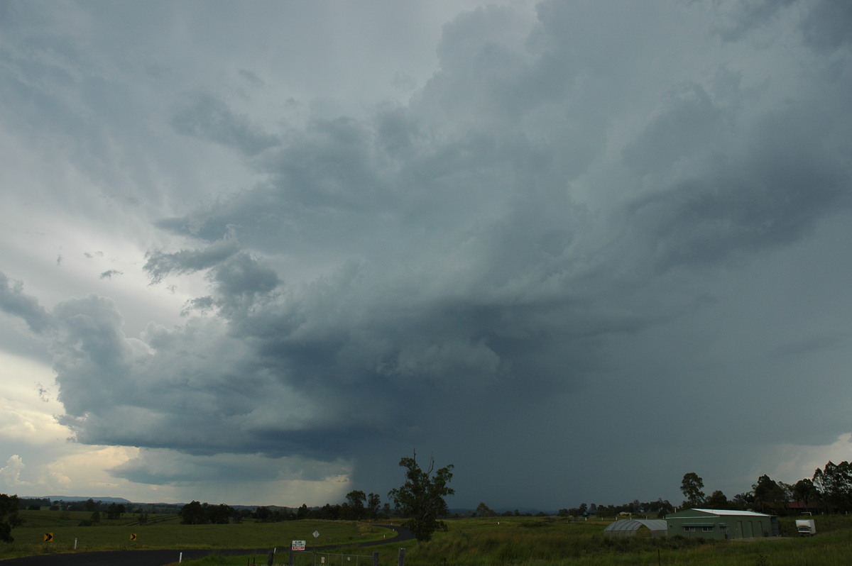 cumulonimbus thunderstorm_base : W of Casino, NSW   20 November 2005