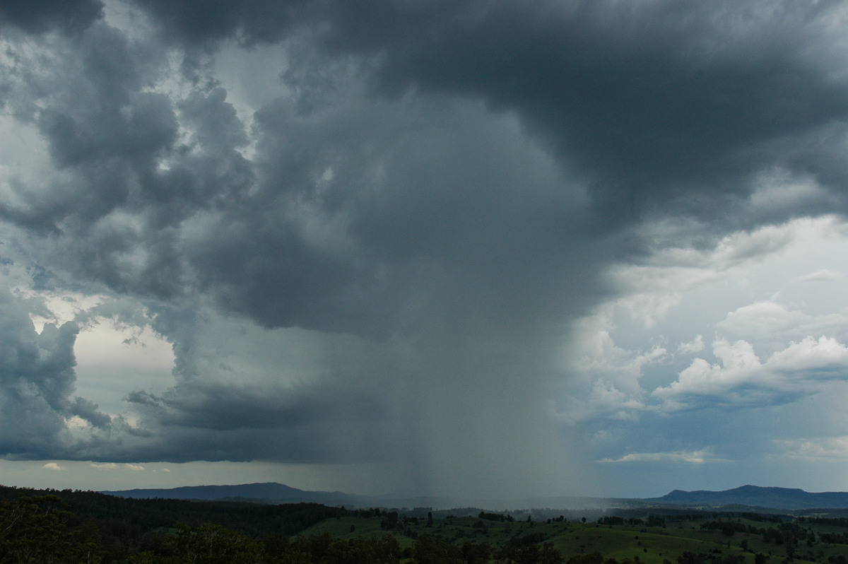 microburst micro_burst : Mallanganee NSW   20 November 2005