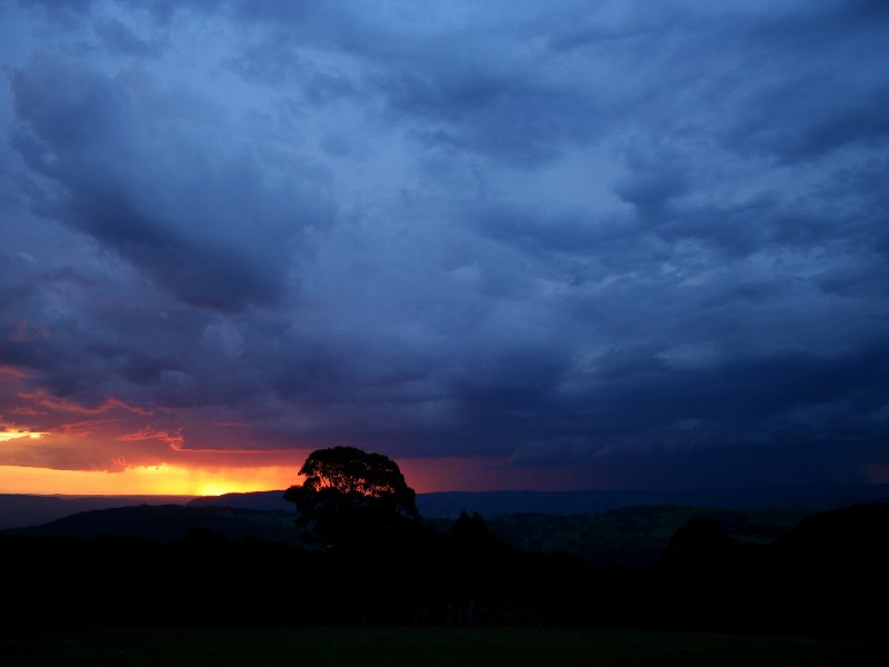 cumulonimbus thunderstorm_base : Mt Lambie, NSW   22 November 2005