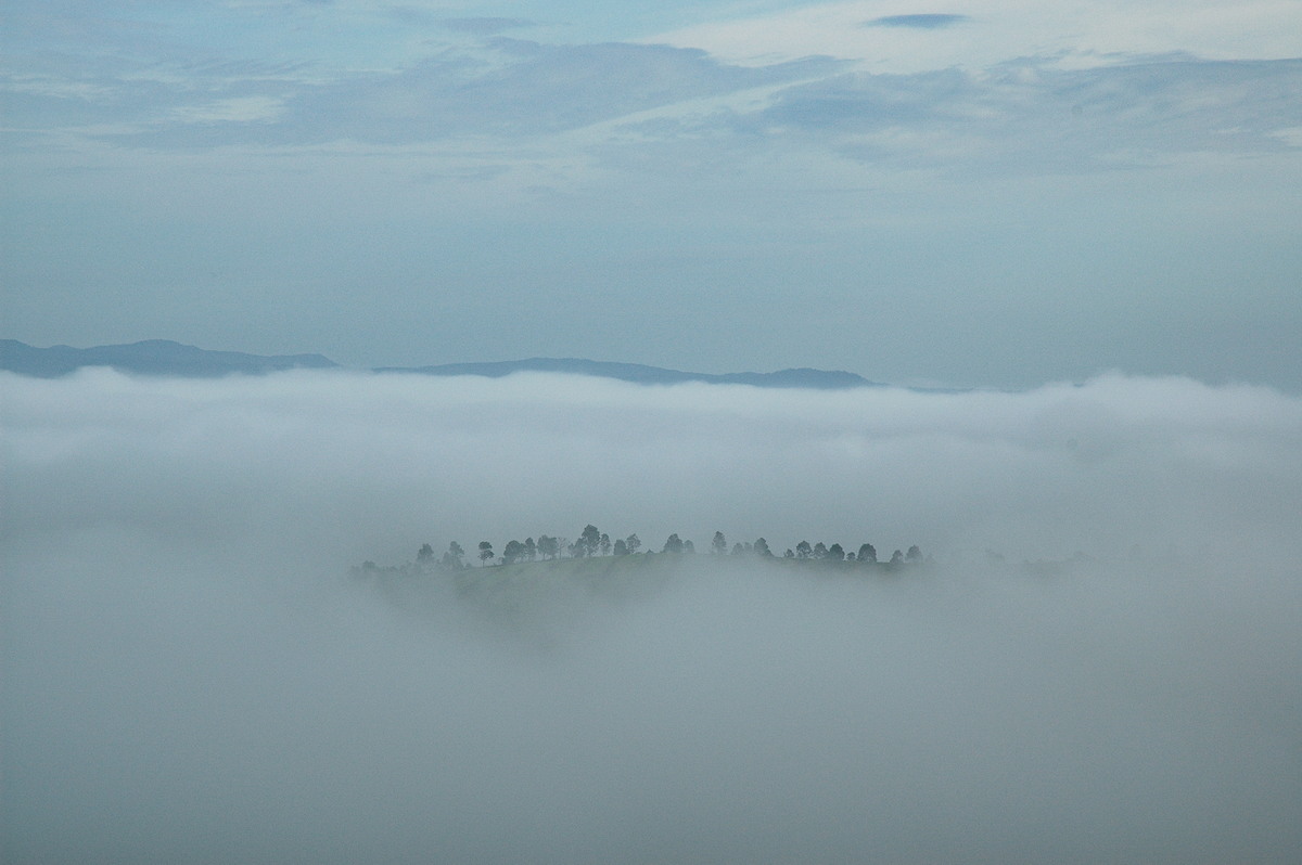 favourites michael_bath : McLeans Ridges, NSW   23 November 2005