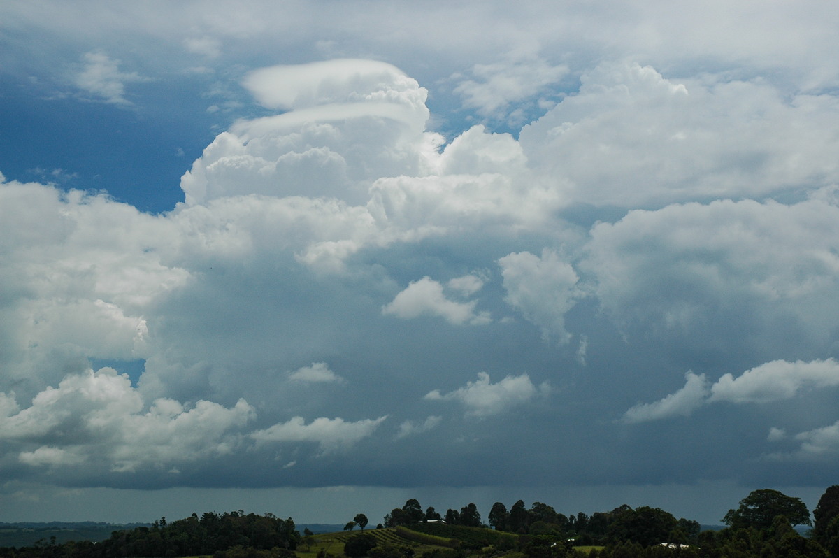 thunderstorm cumulonimbus_calvus : McLeans Ridges, NSW   23 November 2005