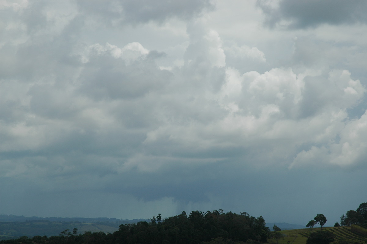 cumulonimbus thunderstorm_base : McLeans Ridges, NSW   23 November 2005