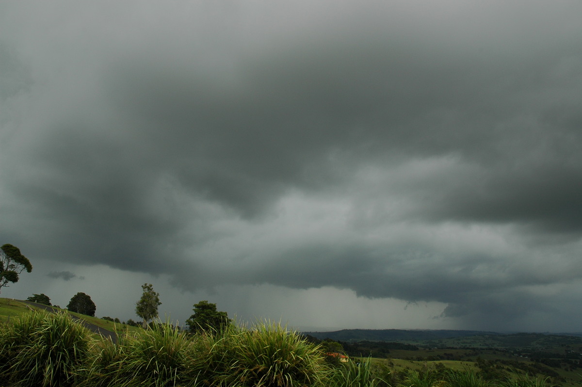 cumulonimbus thunderstorm_base : McLeans Ridges, NSW   23 November 2005