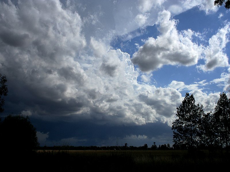 cumulonimbus supercell_thunderstorm : W of Barradine, NSW   25 November 2005