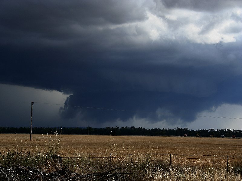 wallcloud thunderstorm_wall_cloud : W of Barradine, NSW   25 November 2005