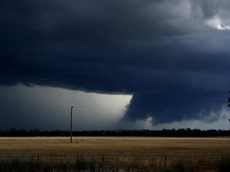 cumulonimbus supercell_thunderstorm : W of Barradine, NSW   25 November 2005