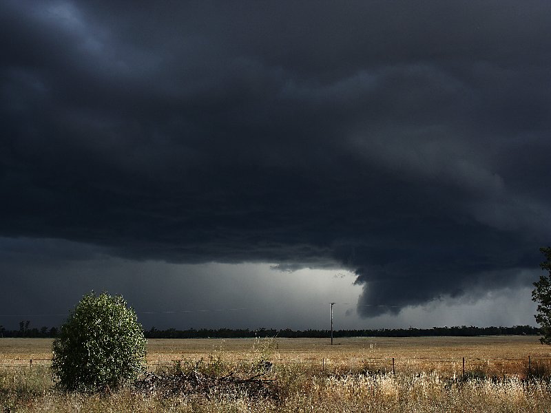 cumulonimbus supercell_thunderstorm : W of Barradine, NSW   25 November 2005