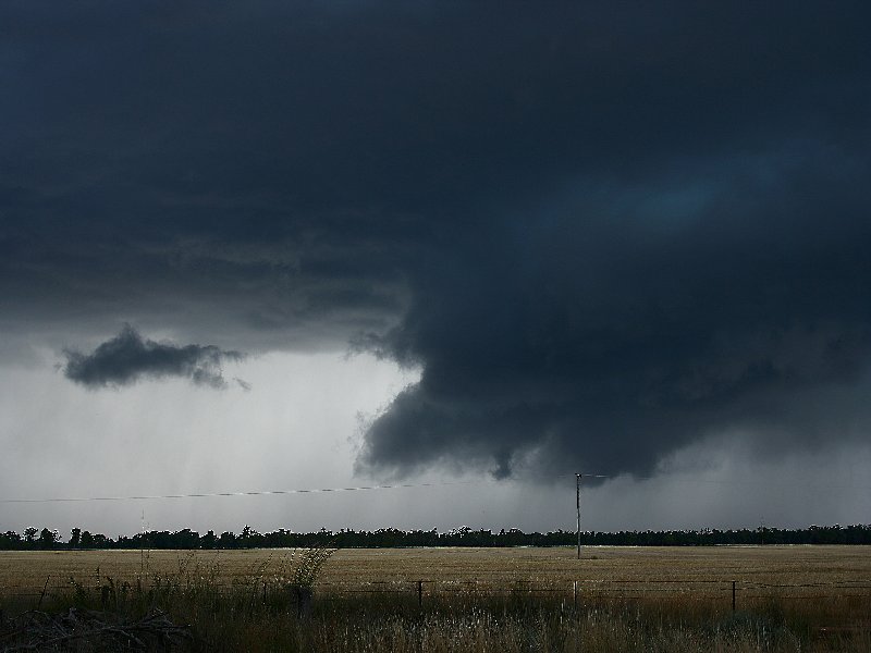 wallcloud thunderstorm_wall_cloud : W of Barradine, NSW   25 November 2005