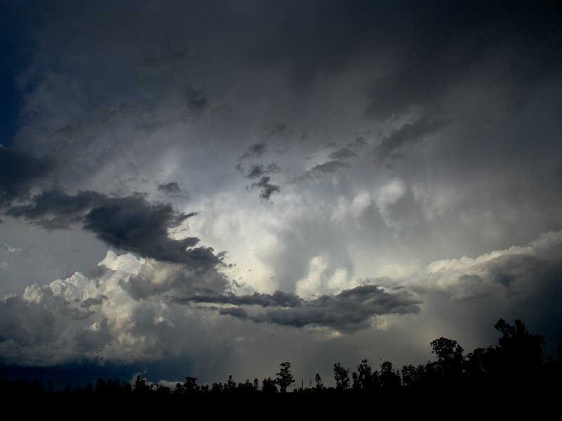 thunderstorm cumulonimbus_incus : W of Barradine, NSW   25 November 2005