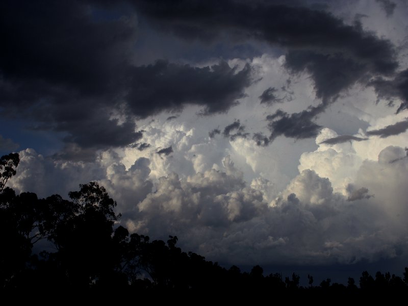 cumulonimbus supercell_thunderstorm : W of Barradine, NSW   25 November 2005