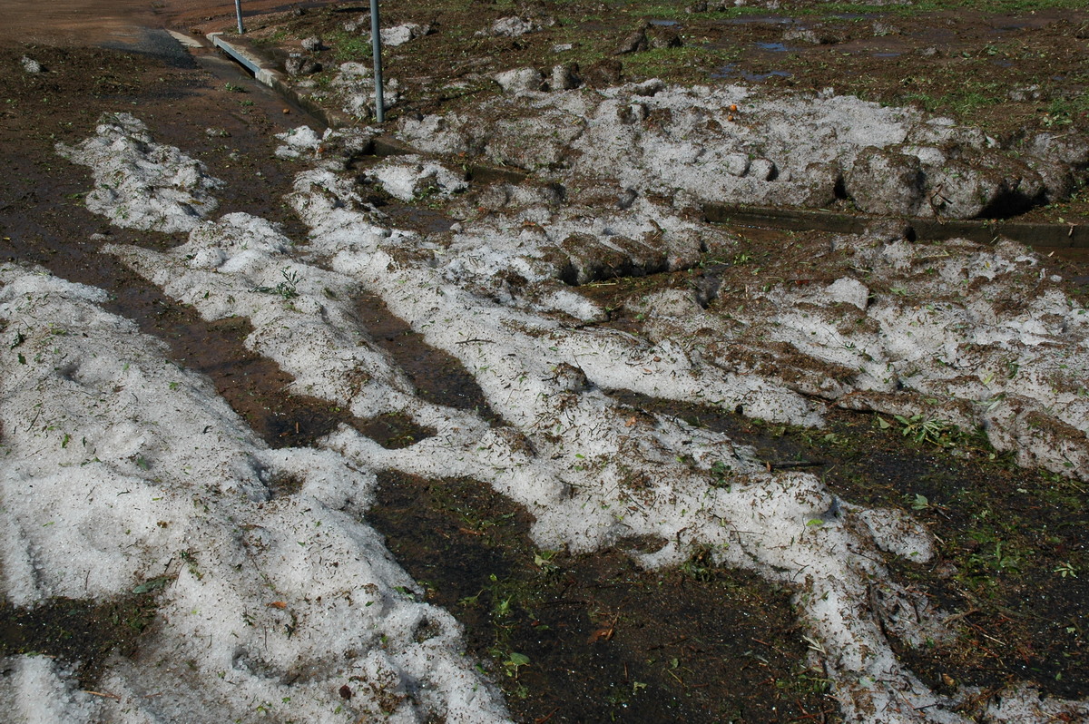 hailstones hail_stones : Warialda, NSW   26 November 2005