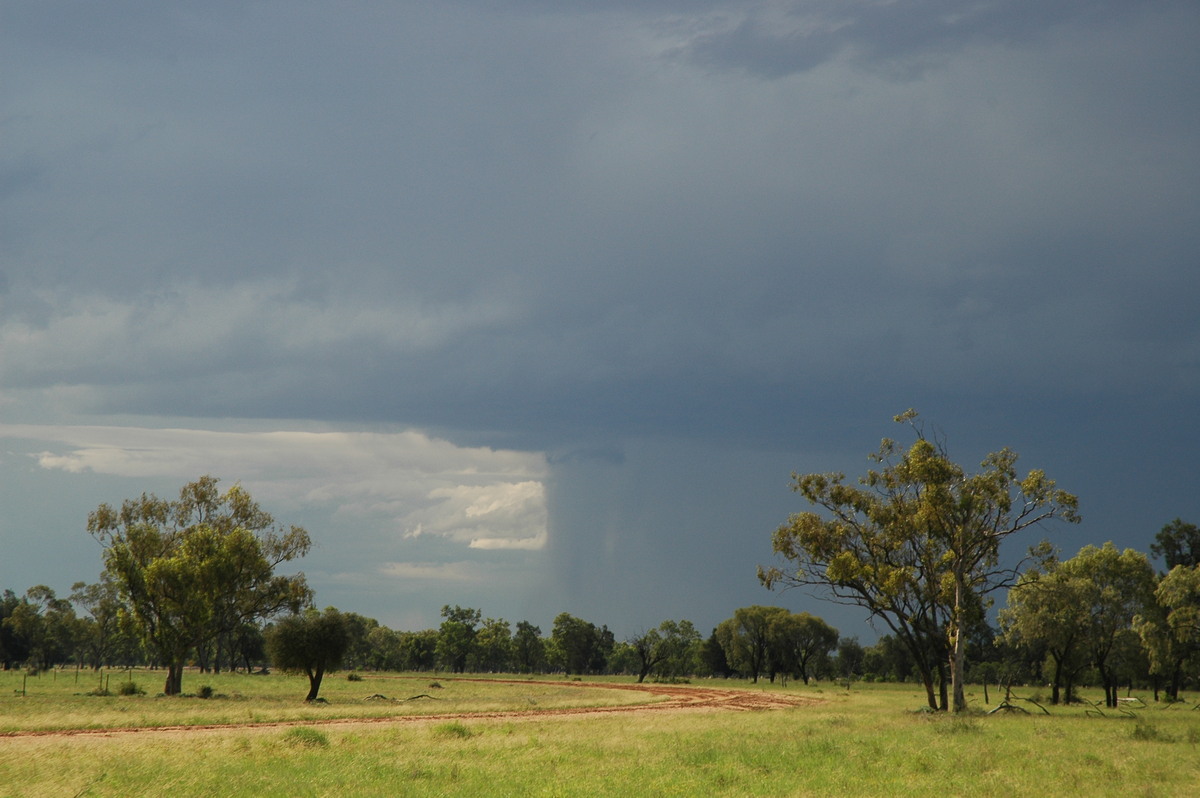 raincascade precipitation_cascade : Collarenabri, NSW   26 November 2005