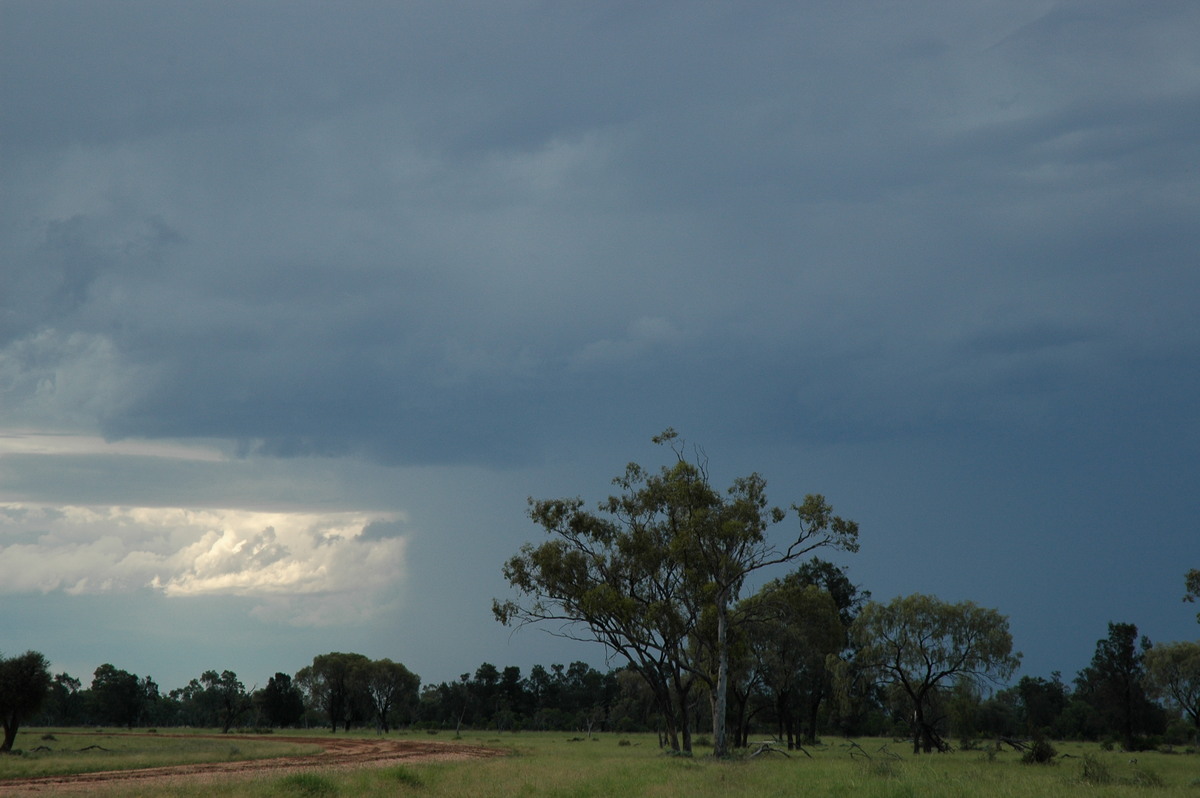 raincascade precipitation_cascade : Collarenabri, NSW   26 November 2005