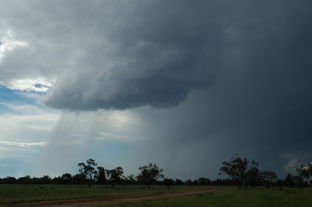 raincascade precipitation_cascade : Collarenabri, NSW   26 November 2005