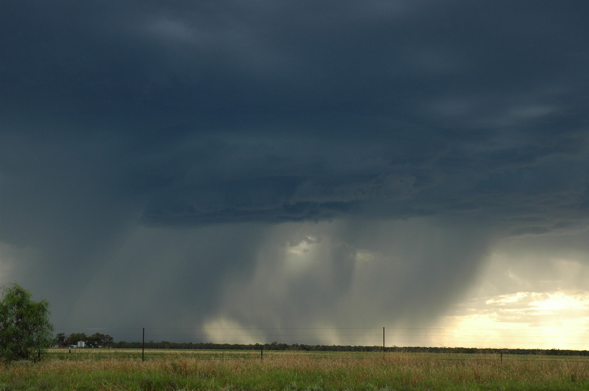 cumulonimbus thunderstorm_base : Collarenabri, NSW   26 November 2005