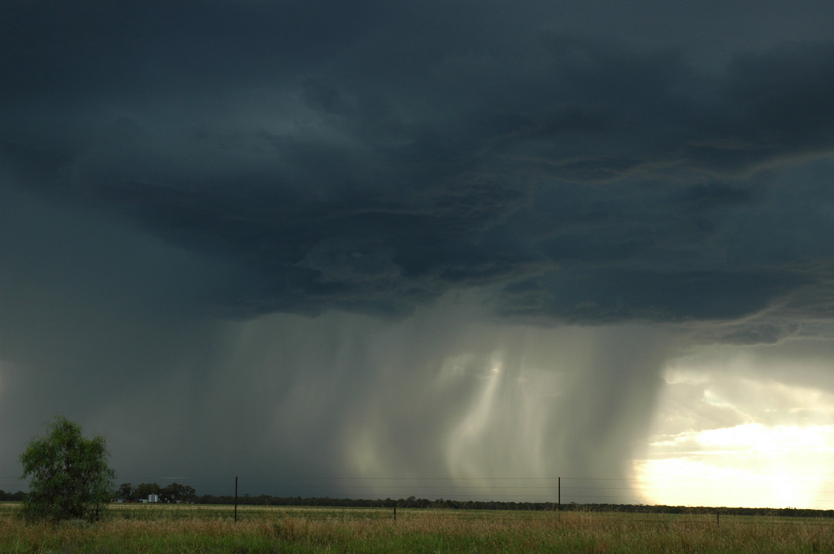 raincascade precipitation_cascade : Collarenabri, NSW   26 November 2005