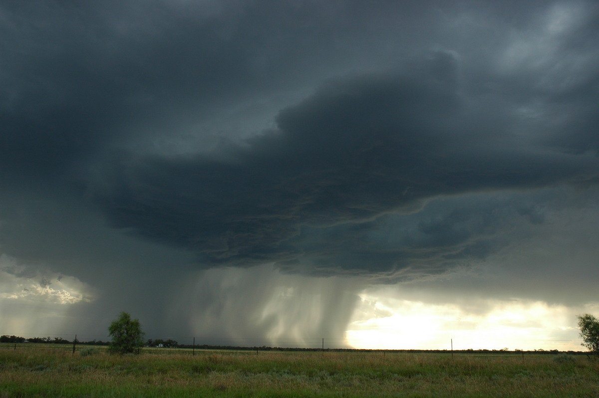 cumulonimbus thunderstorm_base : Collarenabri, NSW   26 November 2005