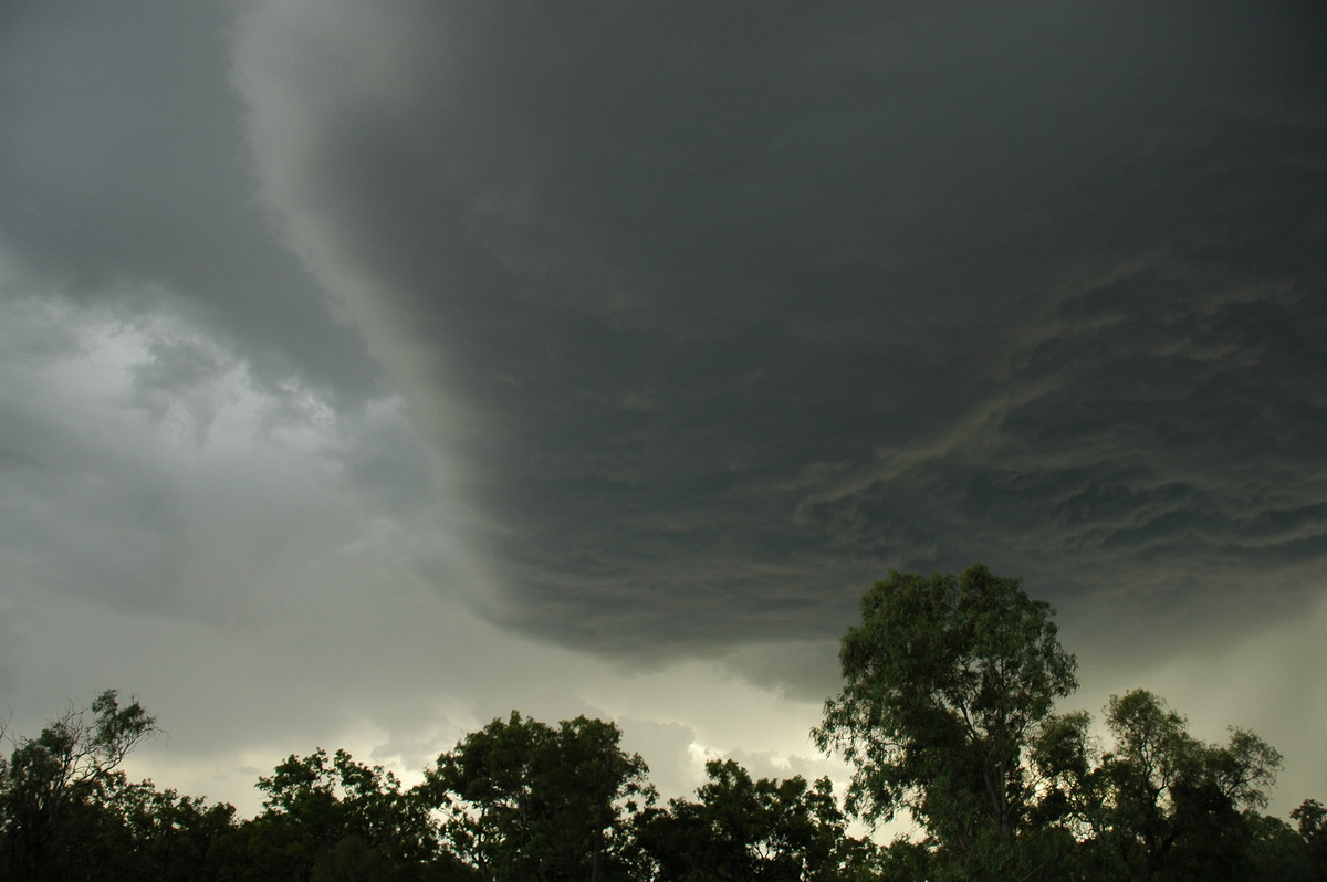 shelfcloud shelf_cloud : Collarenabri, NSW   26 November 2005