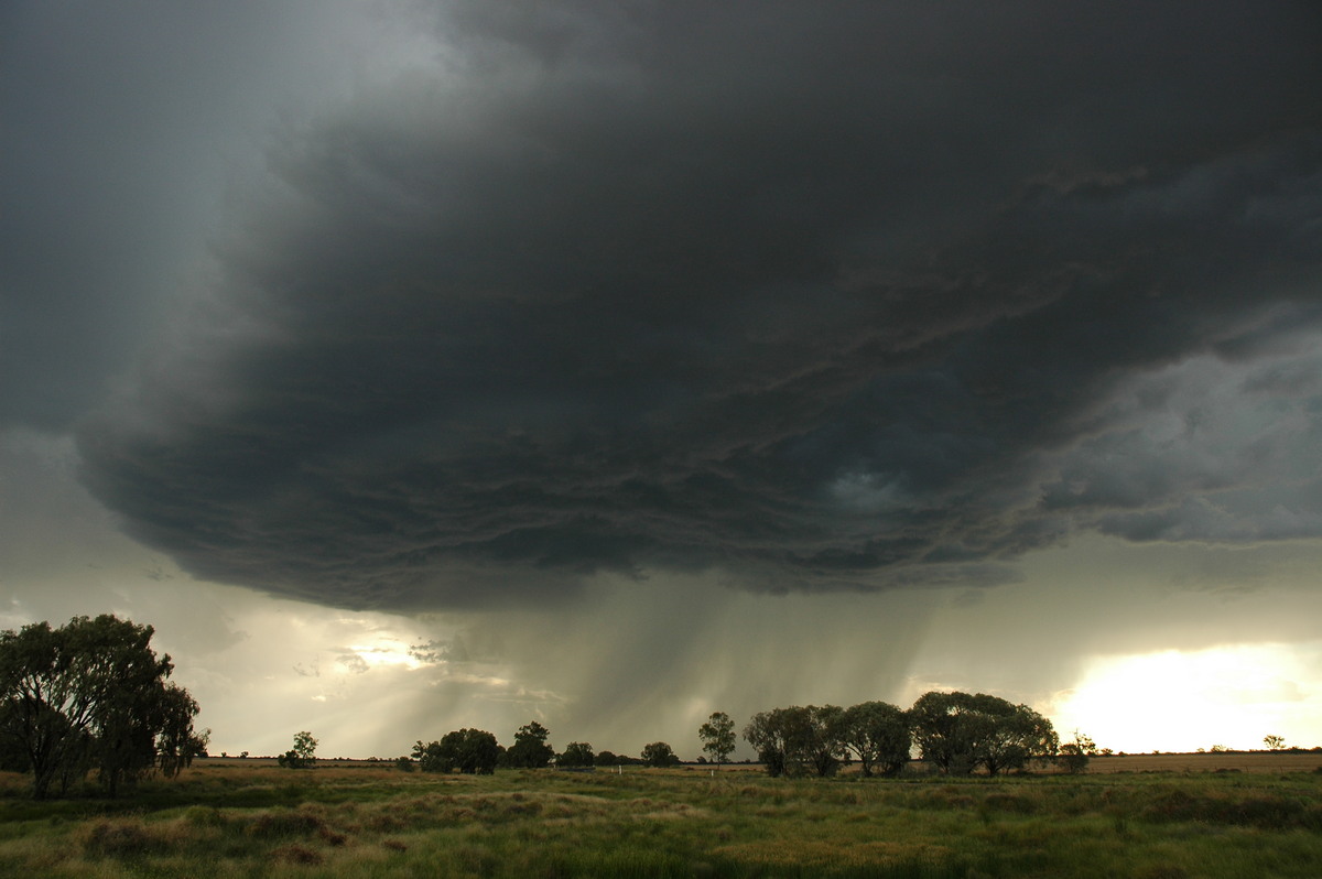 shelfcloud shelf_cloud : Collarenabri, NSW   26 November 2005