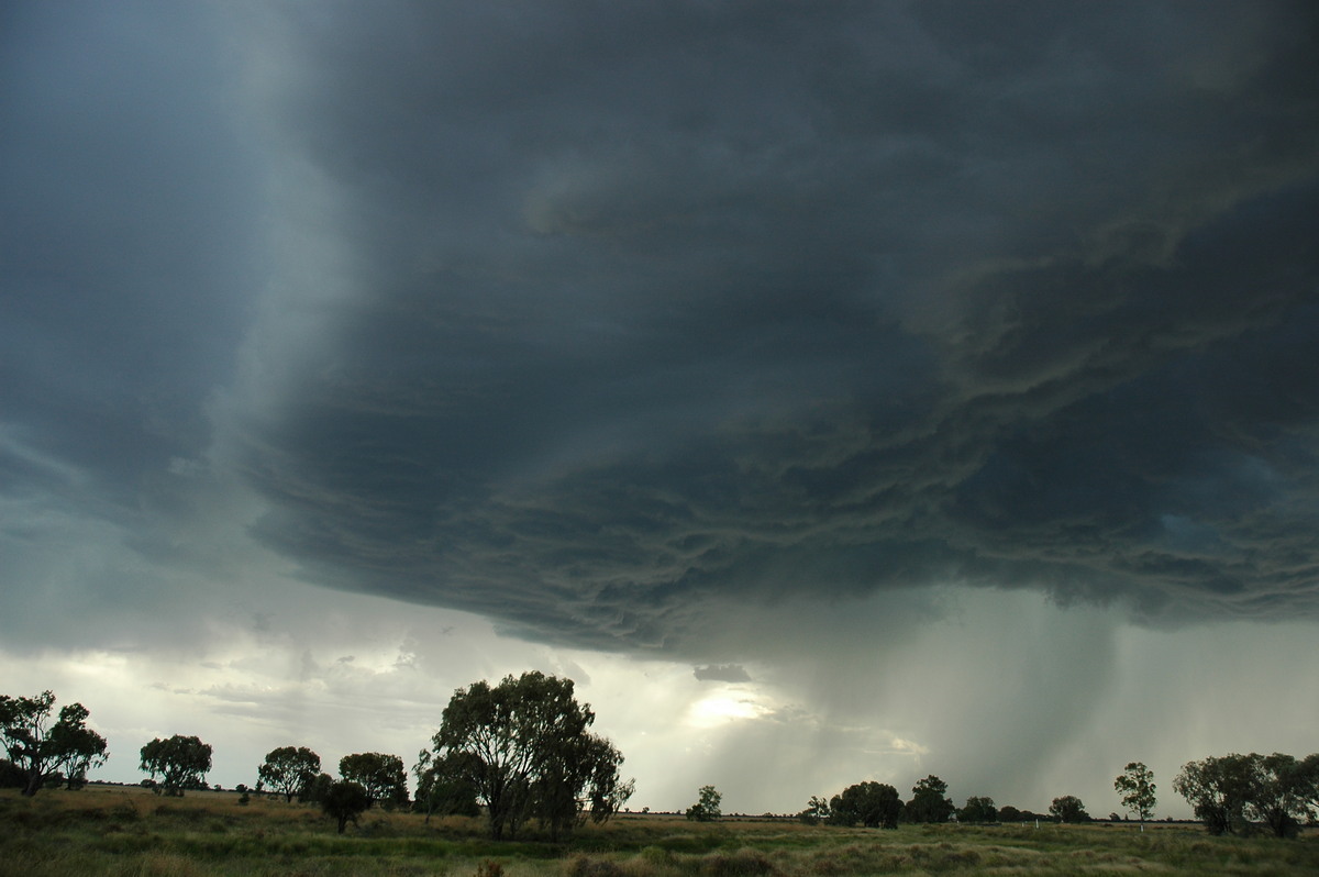 shelfcloud shelf_cloud : Collarenabri, NSW   26 November 2005