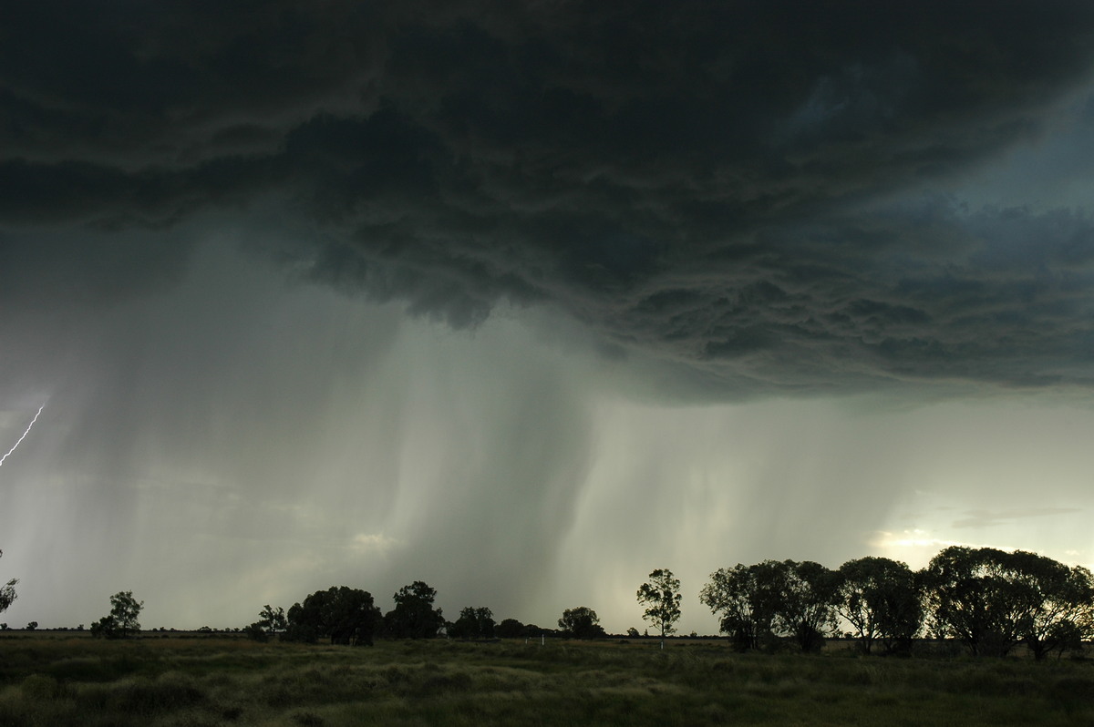 cumulonimbus thunderstorm_base : Collarenabri, NSW   26 November 2005