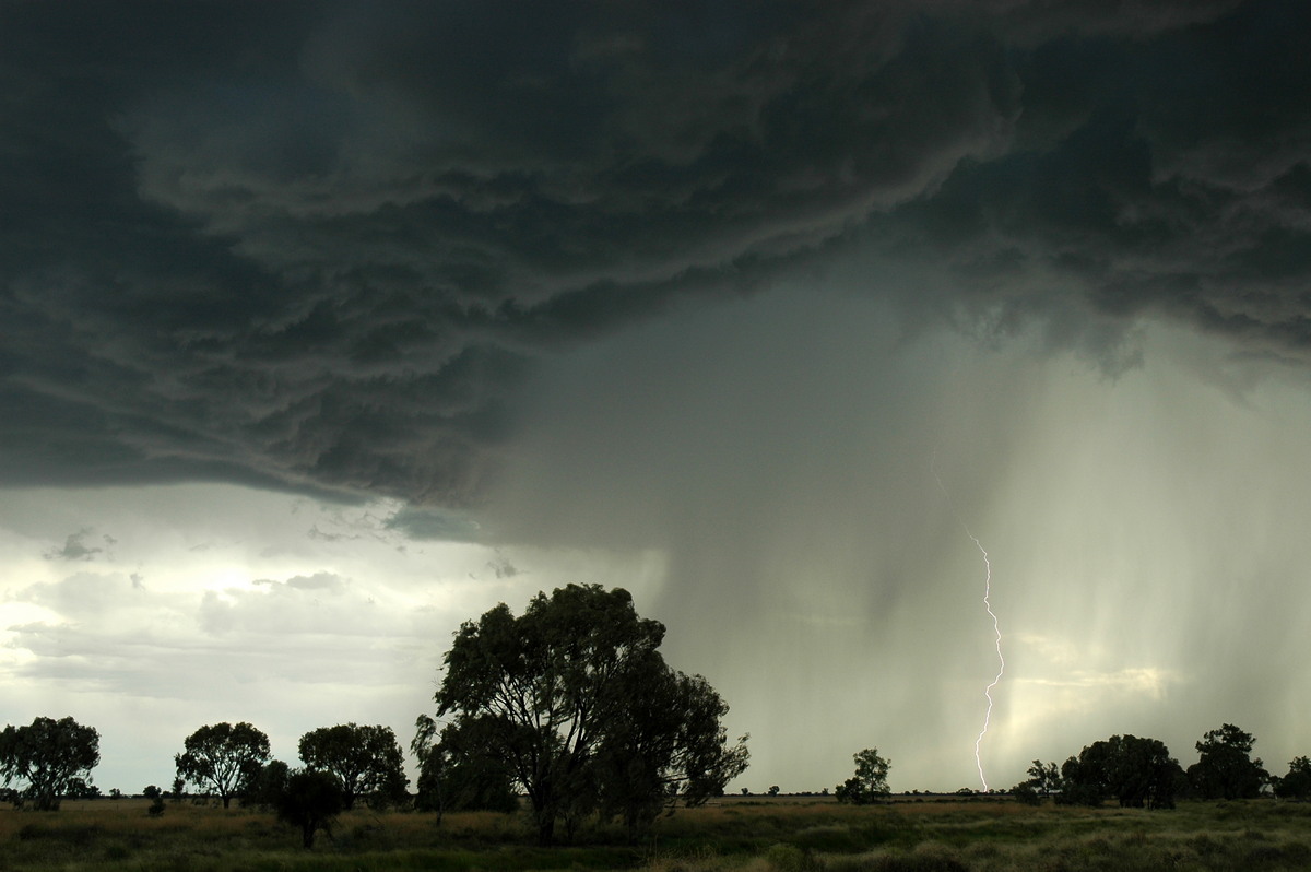 raincascade precipitation_cascade : Collarenabri, NSW   26 November 2005