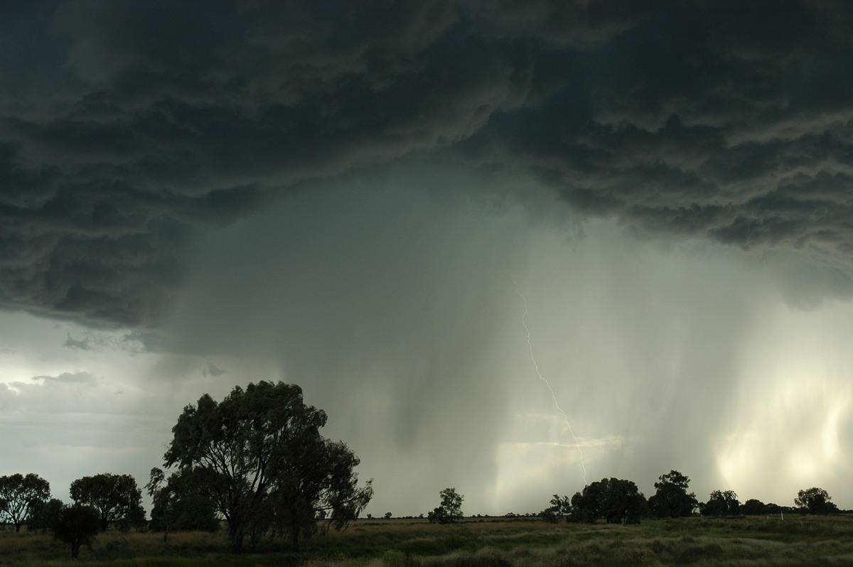 cumulonimbus thunderstorm_base : Collarenabri, NSW   26 November 2005