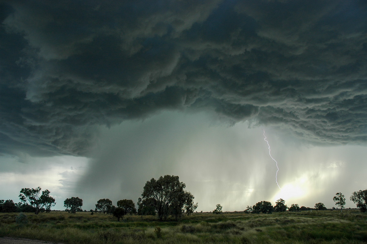 cumulonimbus thunderstorm_base : Collarenabri, NSW   26 November 2005