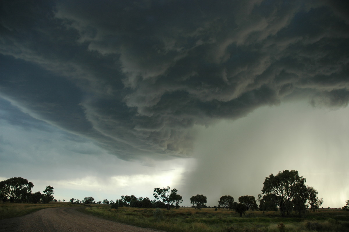 cumulonimbus thunderstorm_base : Collarenabri, NSW   26 November 2005