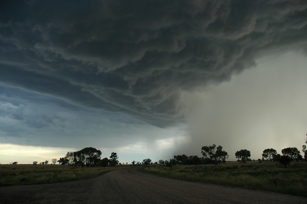 cumulonimbus thunderstorm_base : Collarenabri, NSW   26 November 2005