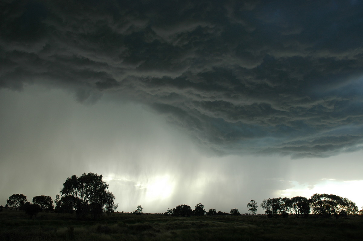 raincascade precipitation_cascade : Collarenabri, NSW   26 November 2005