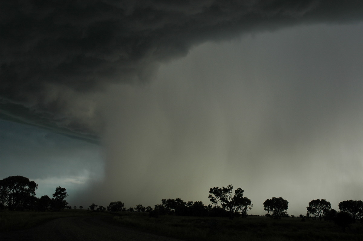 raincascade precipitation_cascade : Collarenabri, NSW   26 November 2005