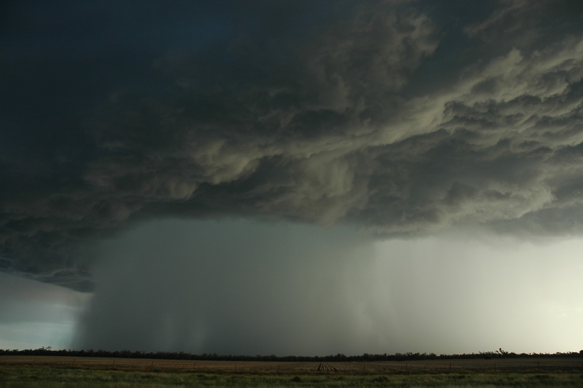 cumulonimbus thunderstorm_base : Collarenabri, NSW   26 November 2005