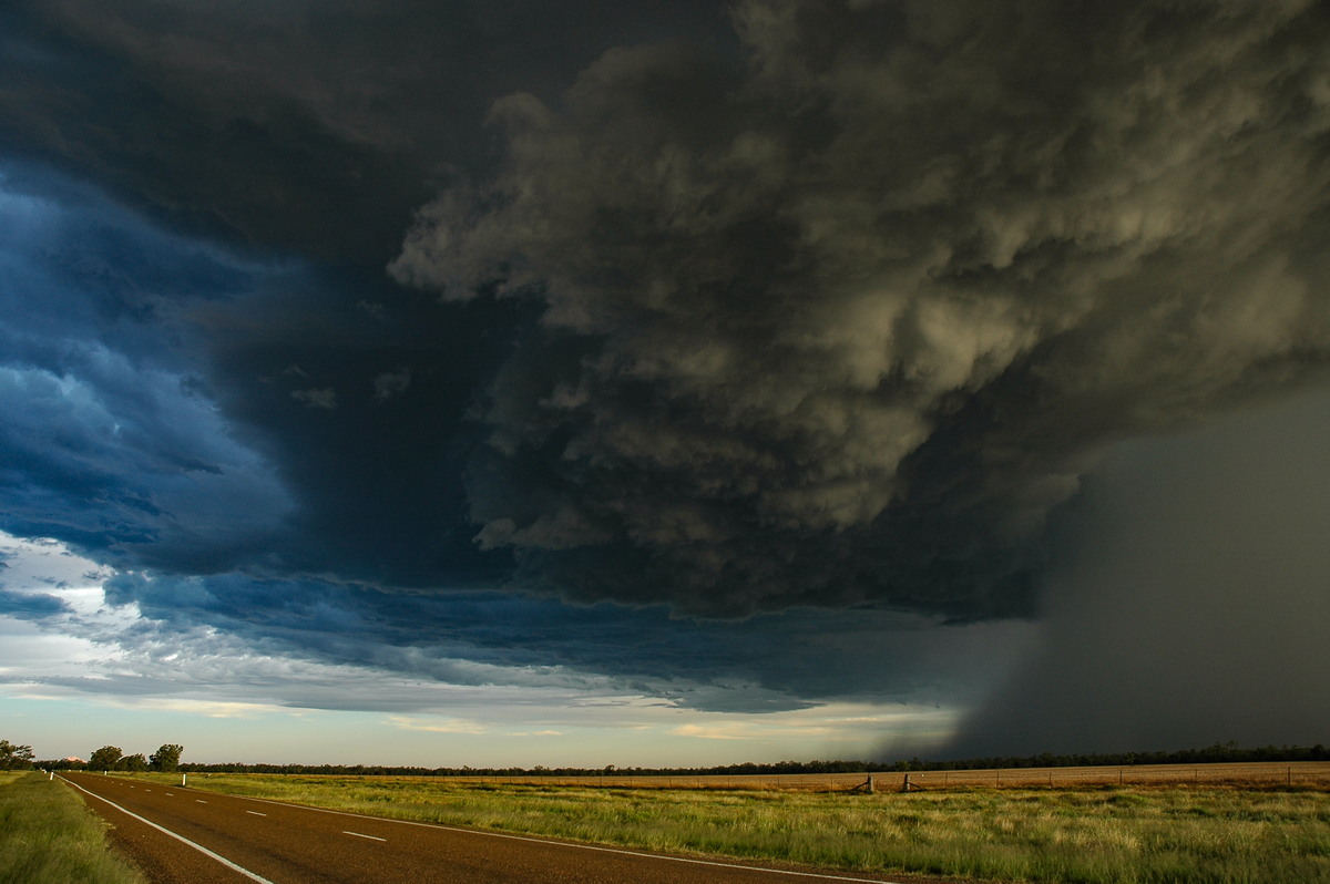 cumulonimbus thunderstorm_base : Collarenabri, NSW   26 November 2005