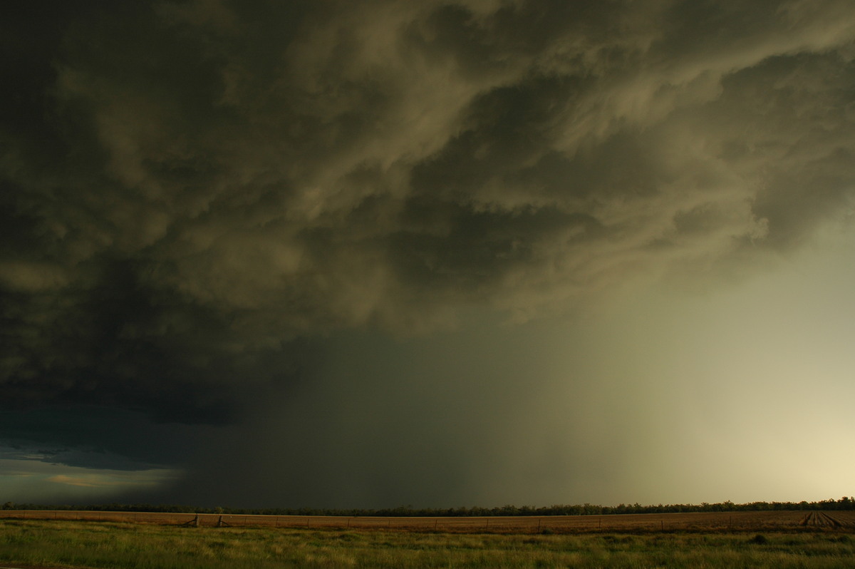 cumulonimbus thunderstorm_base : Collarenabri, NSW   26 November 2005