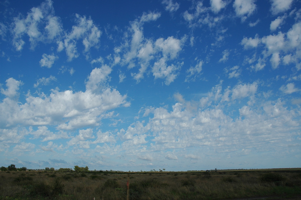 altocumulus castellanus : near Moree, NSW   27 November 2005