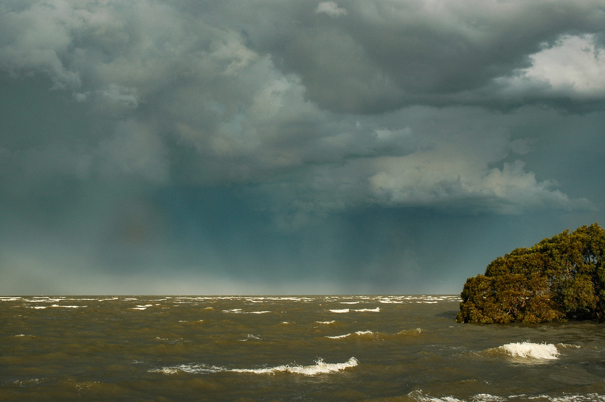 strongwind strong_wind : N of Brisbane, NSW   27 November 2005