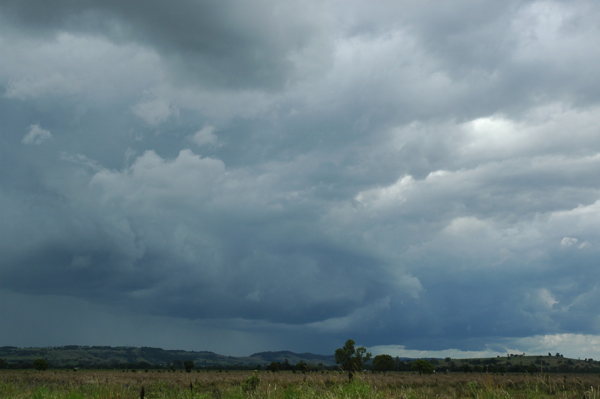 cumulonimbus thunderstorm_base : Lismore, NSW   29 November 2005