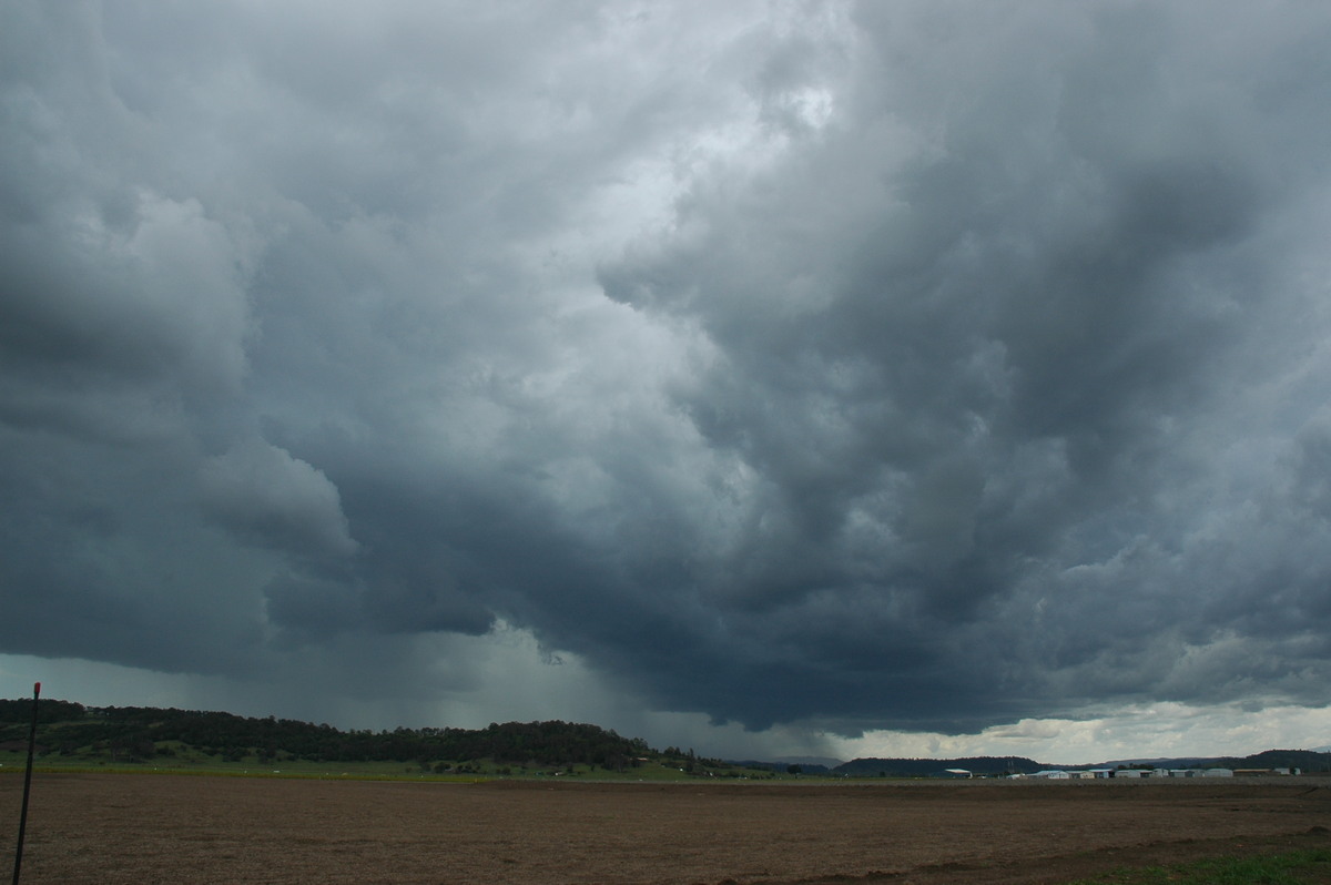 cumulonimbus thunderstorm_base : Lismore, NSW   29 November 2005