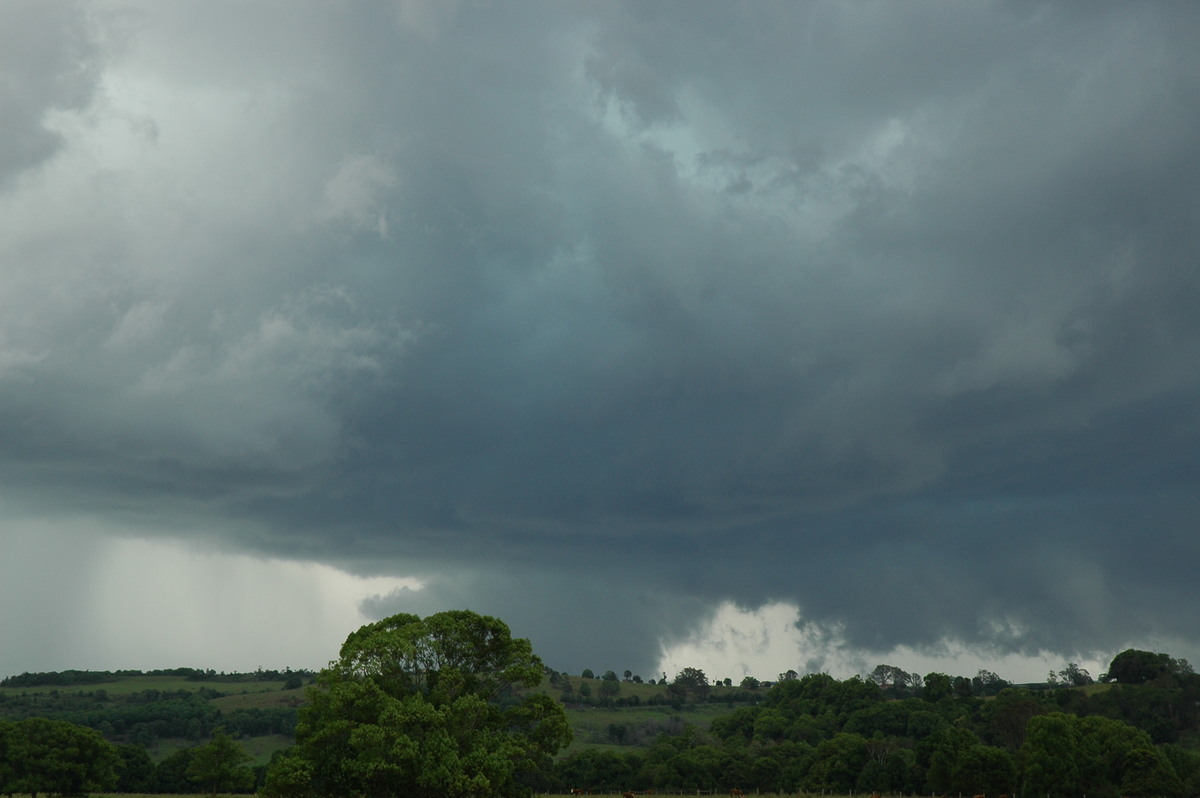 wallcloud thunderstorm_wall_cloud : near Lismore, NSW   29 November 2005